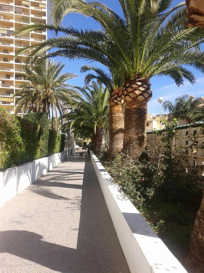 Apartamento Puigval Buitenkant foto